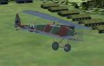 Halberstadt D.II